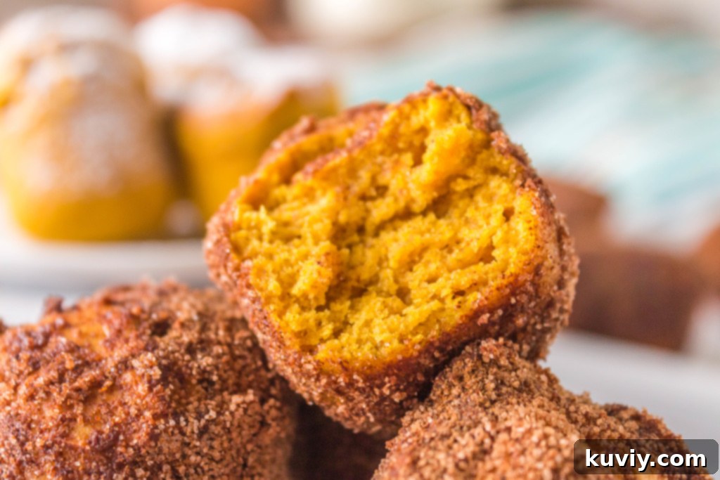 Air fryer pumpkin doughnut holes arranged neatly in a basket, ready to be eaten.