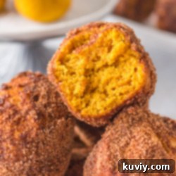Air Fryer Pumpkin Doughnut Holes