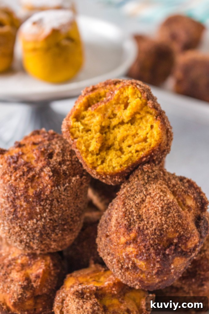 Air Fryer Monthly Meal Plan Overview