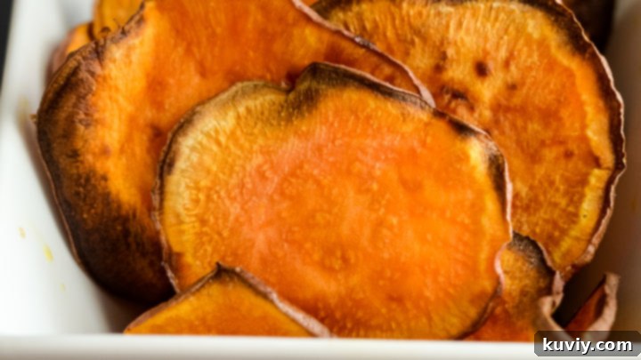 Air Fryer Sweet Potato Chips