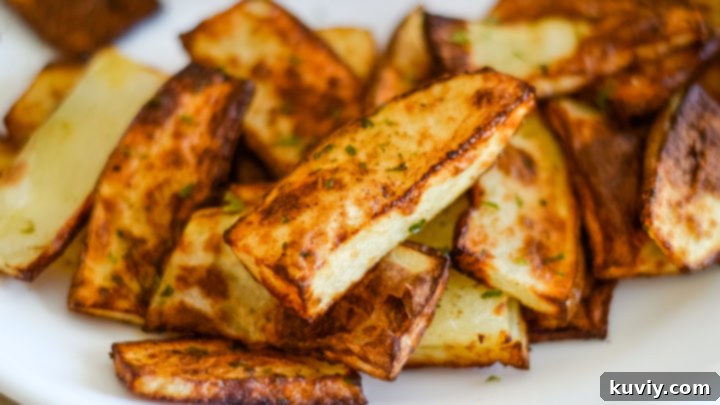 Air Fryer Steak Fries