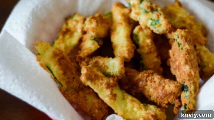 Air Fryer Zucchini Fries