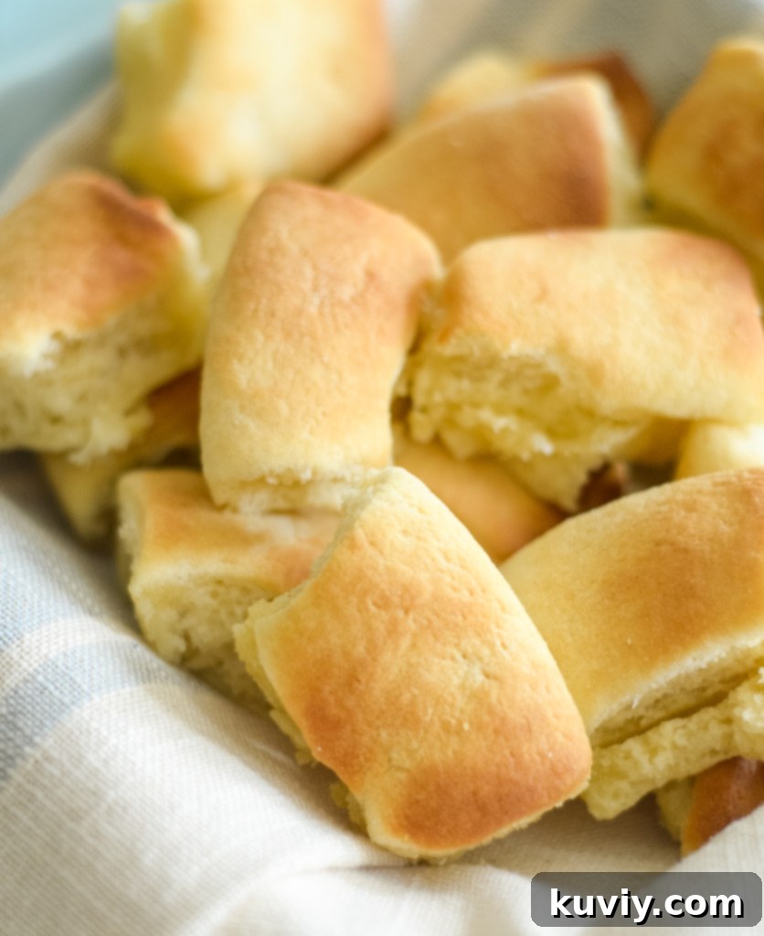 Effortless Air Fryer Dinner Rolls 2 Golden brown air fryer dinner rolls, ready to serve.