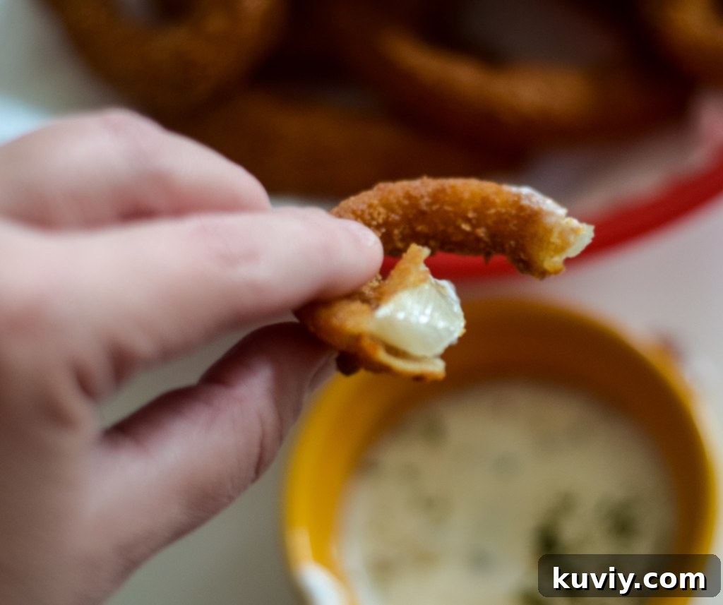 Plate of perfectly cooked air fryer frozen onion rings