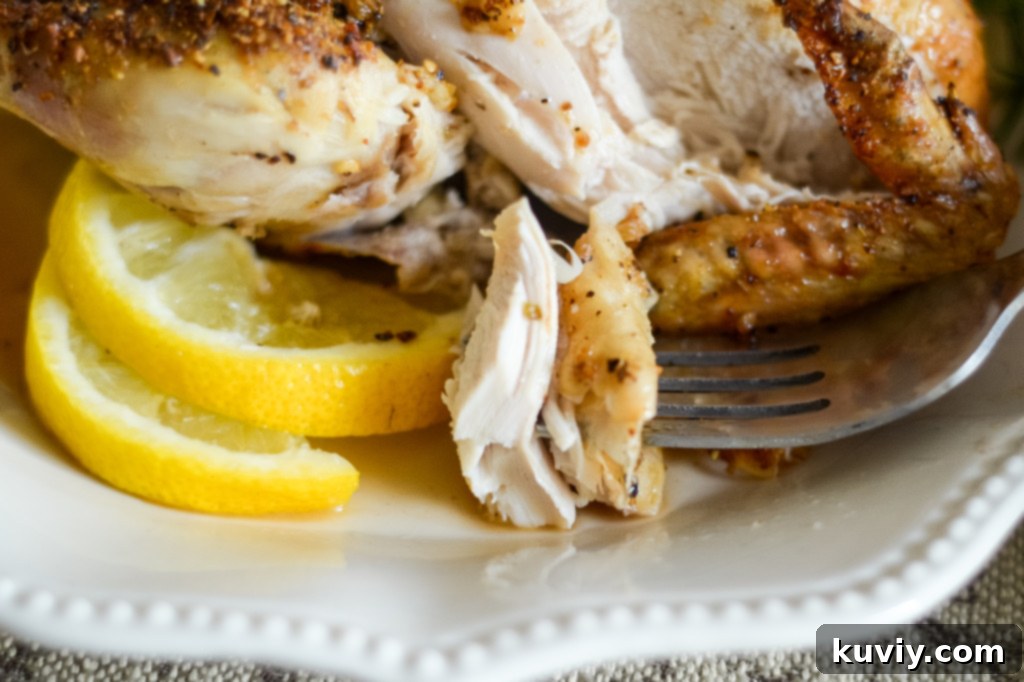 air fryer cornish hens in ninja foodi