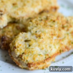 Crispy Air Fryer Ranch Breaded Pork Chops