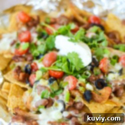 Crispy Air Fryer Nachos 8 Air Fryer Plate Nachos ready to serve