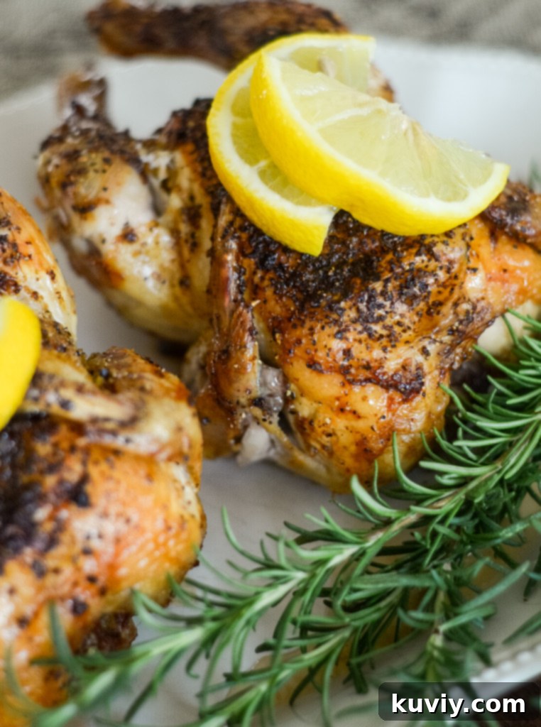 air fryer cornish hens