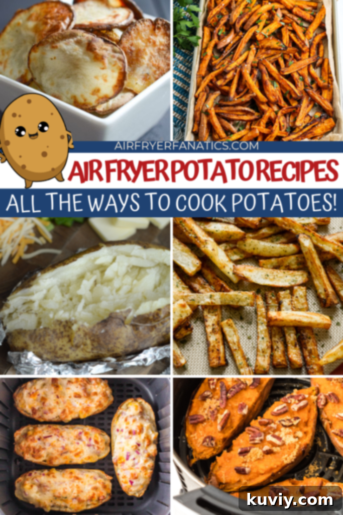 Various Air Fryer Potato Dishes