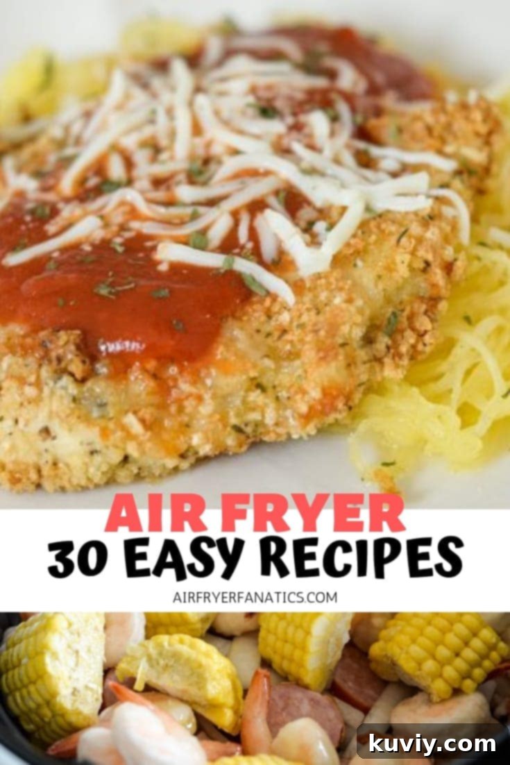 Collection of various air fryer recipes for quick meals