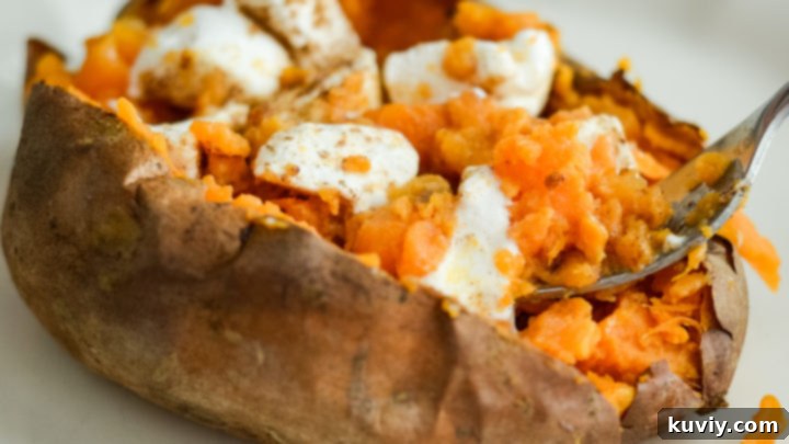 Versatile Air Fryer Sweet Potatoes, cubed and seasoned.