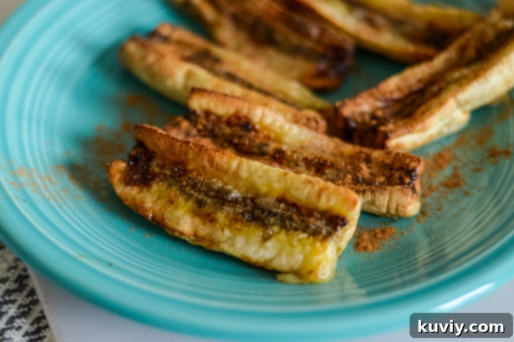air fryer cooking various meals