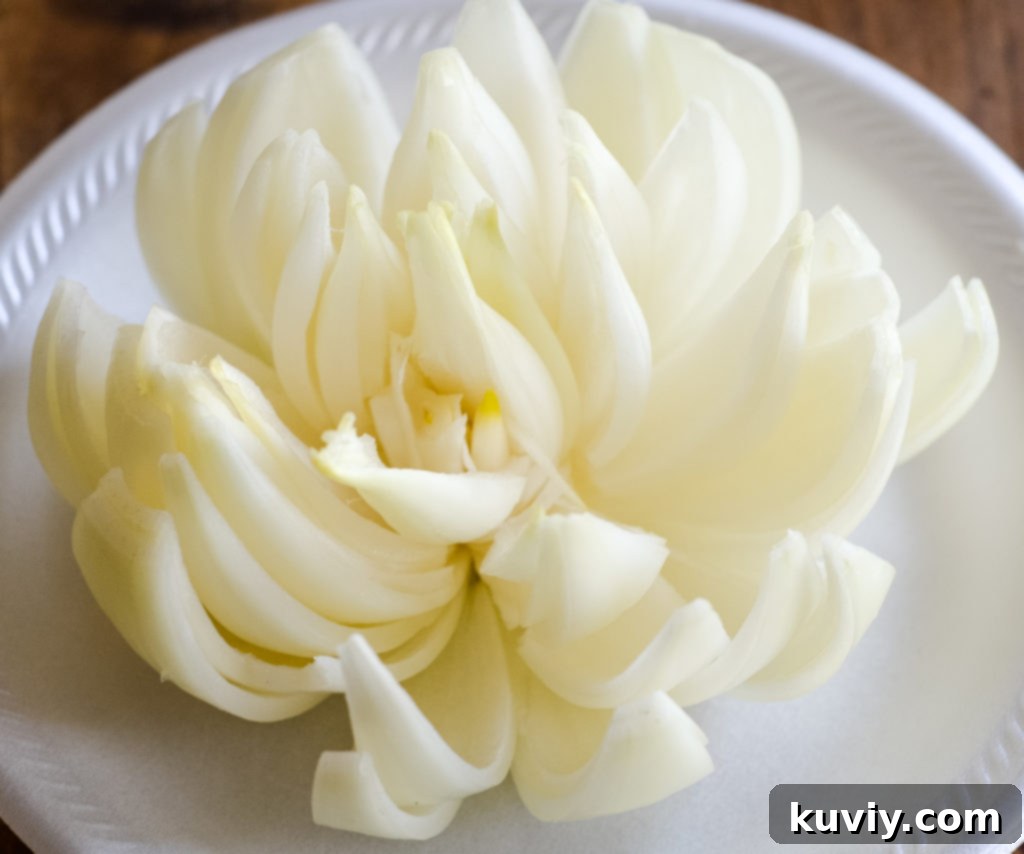 Close-up of an onion being prepared for cutting into a blooming shape.