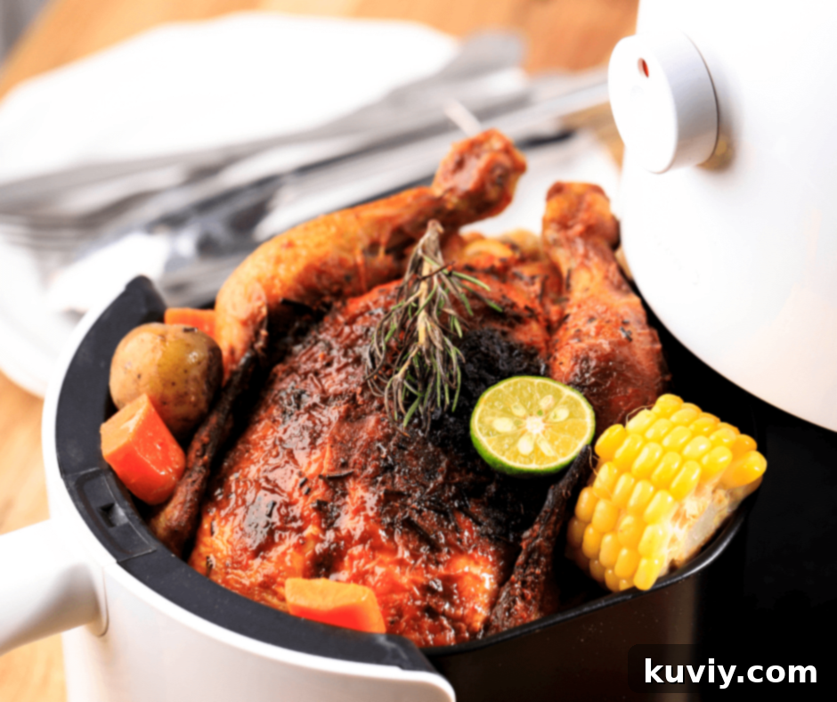 top rated air fryers