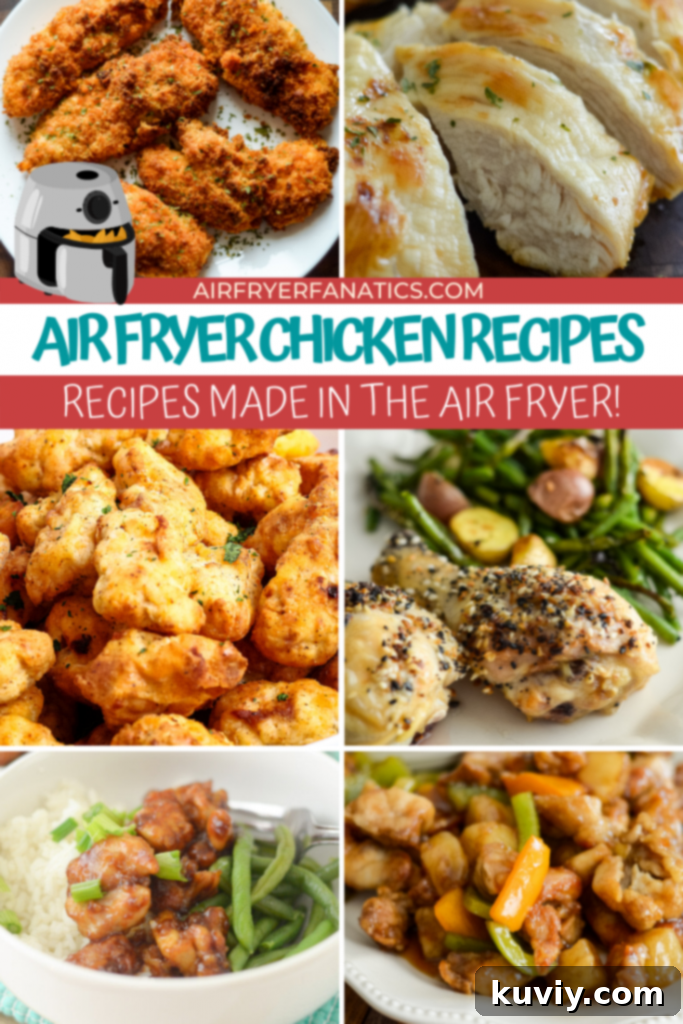 AIR FRYER CHICKEN RECIPES