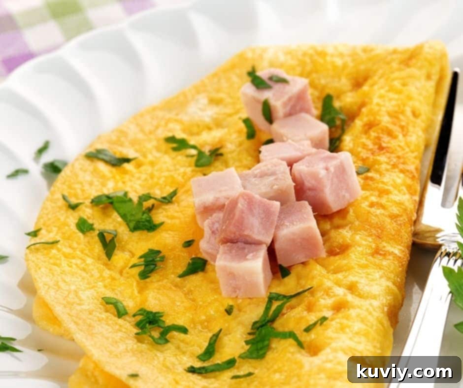 Air Fryer Ham And Cheese Omelette