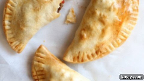 Air Fryer Beef Empanadas