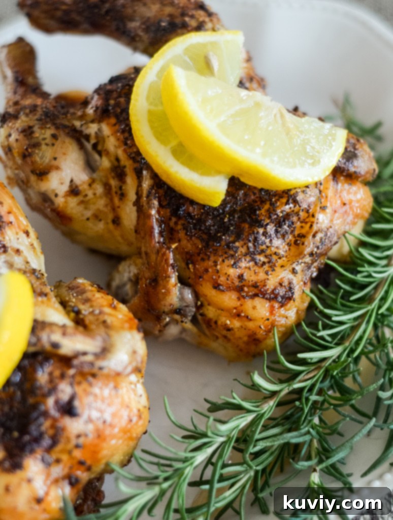 air fryer meat recipes