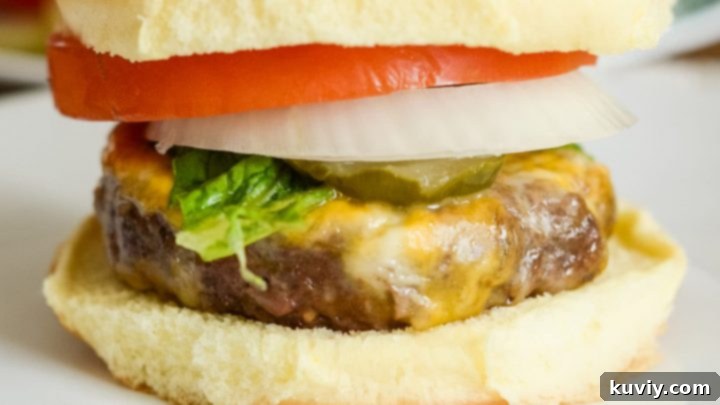 Quick and Easy Air Fryer Cheeseburgers