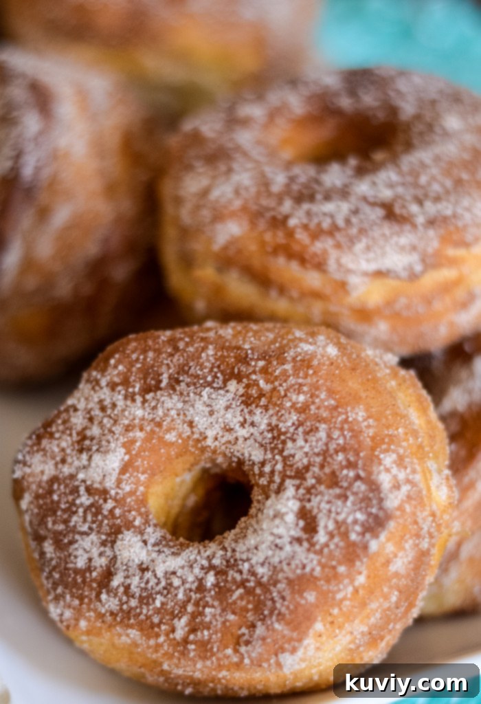 air fryer cinnamon sugar donuts, fresh from the air fryer and coated in cinnamon sugar