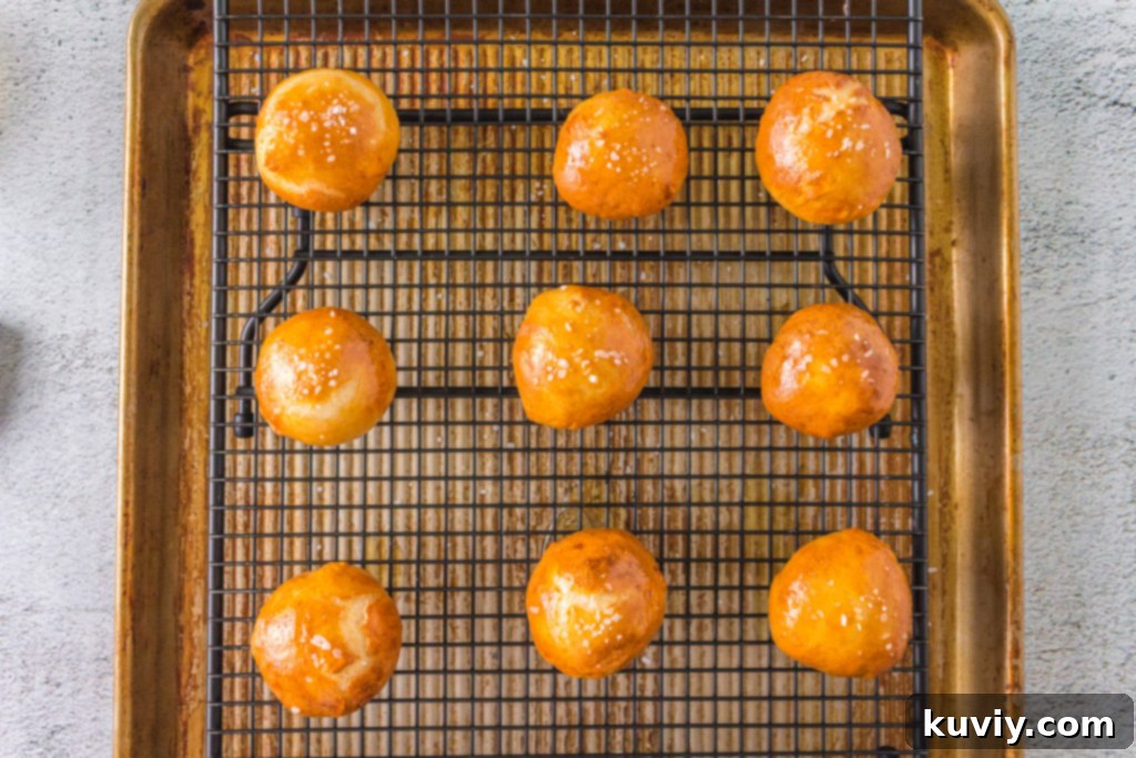 air fryer pretzel bites