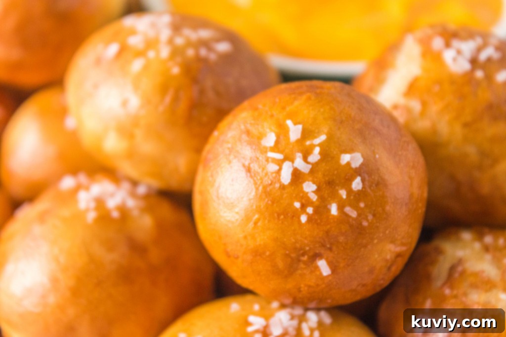 air fryer pretzel bites