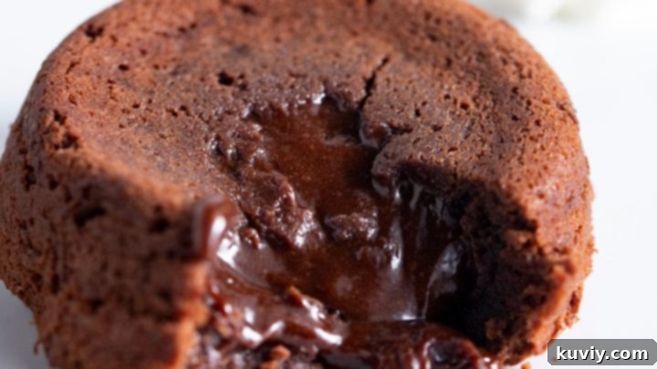Air Fryer Chocolate Molten Lava Cake