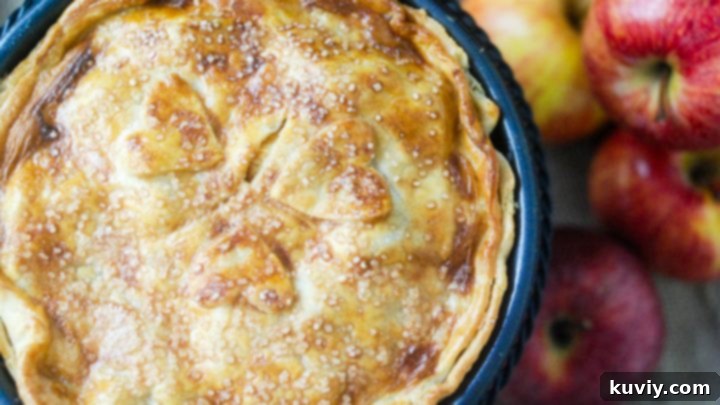 Air Fryer Apple Pie
