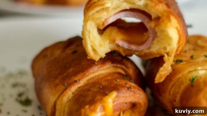 Air Fryer Ham and Cheese Crescent Rolls