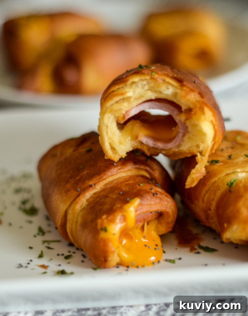 air fryer ham and cheese crescent rolls