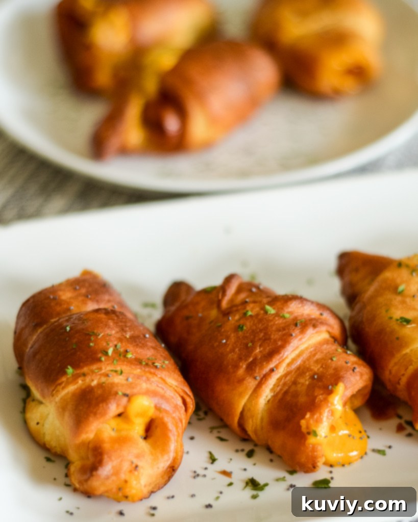 air fryer ham and cheese crescent rolls
