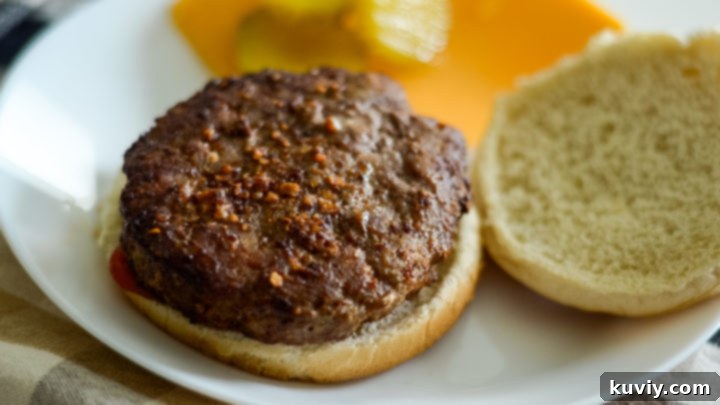 Quick Air Fryer Turkey Burgers