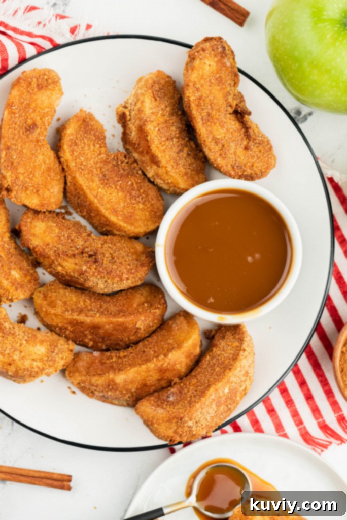 A physical meal planner to organize weekly and monthly air fryer recipes