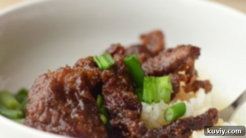 Savory Air Fryer Mongolian Beef