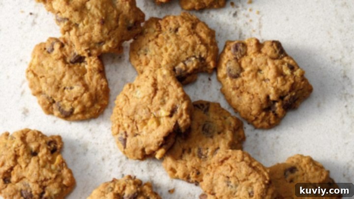 Air-Fryer Chocolate Chip Oatmeal Cookies