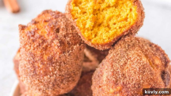 Air Fryer Pumpkin Doughnut Holes