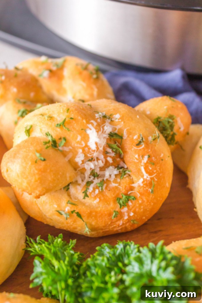 Easy Air Fryer Garlic Knots 2 air fryer garlic knots