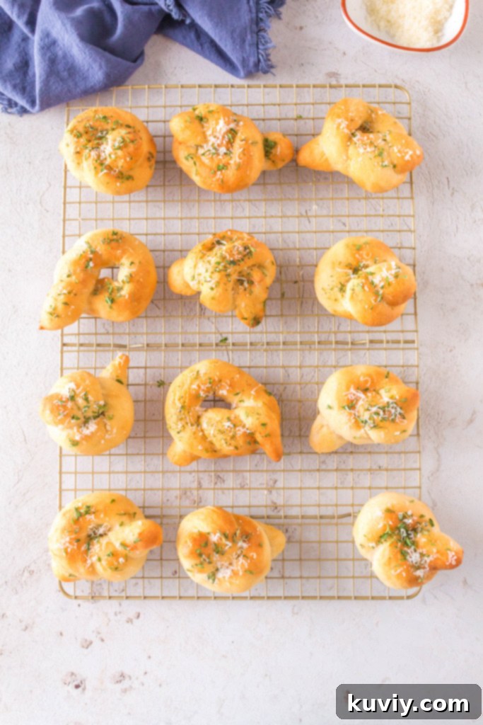 Easy Air Fryer Garlic Knots 7 air fryer garlic knots