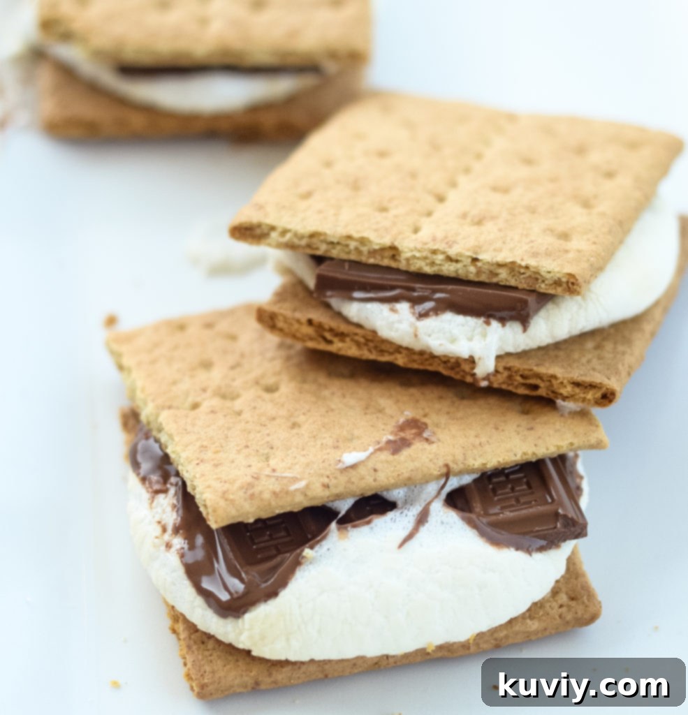Monthly Air Fryer Meal Planner 3 air fryer s'mores dessert