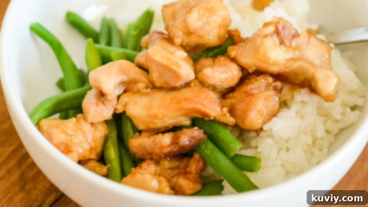 Air Fryer Mongolian Chicken