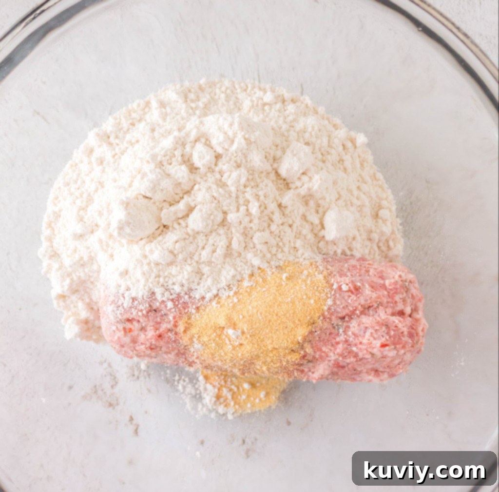 Ingredients for Air Fryer Sausage Balls laid out on a kitchen counter