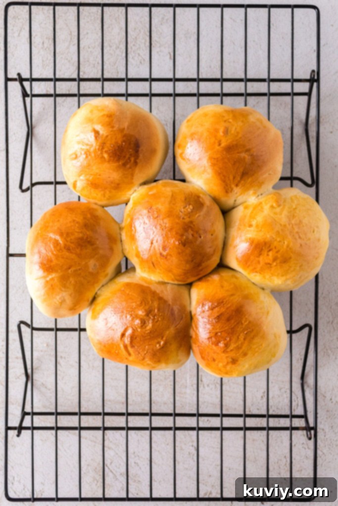 Golden brown air fryer dinner rolls with a soft, fluffy texture