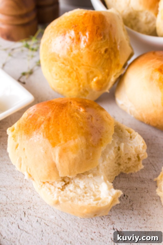 Air fryer dinner rolls in an airtight container for storage