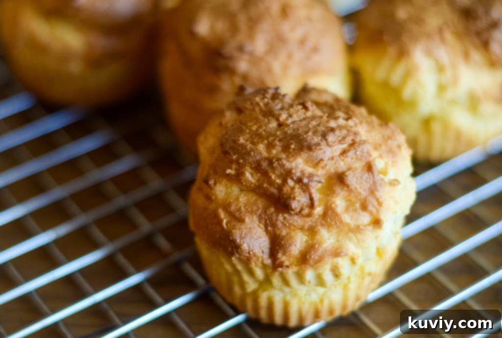air fryer cornbread muffins