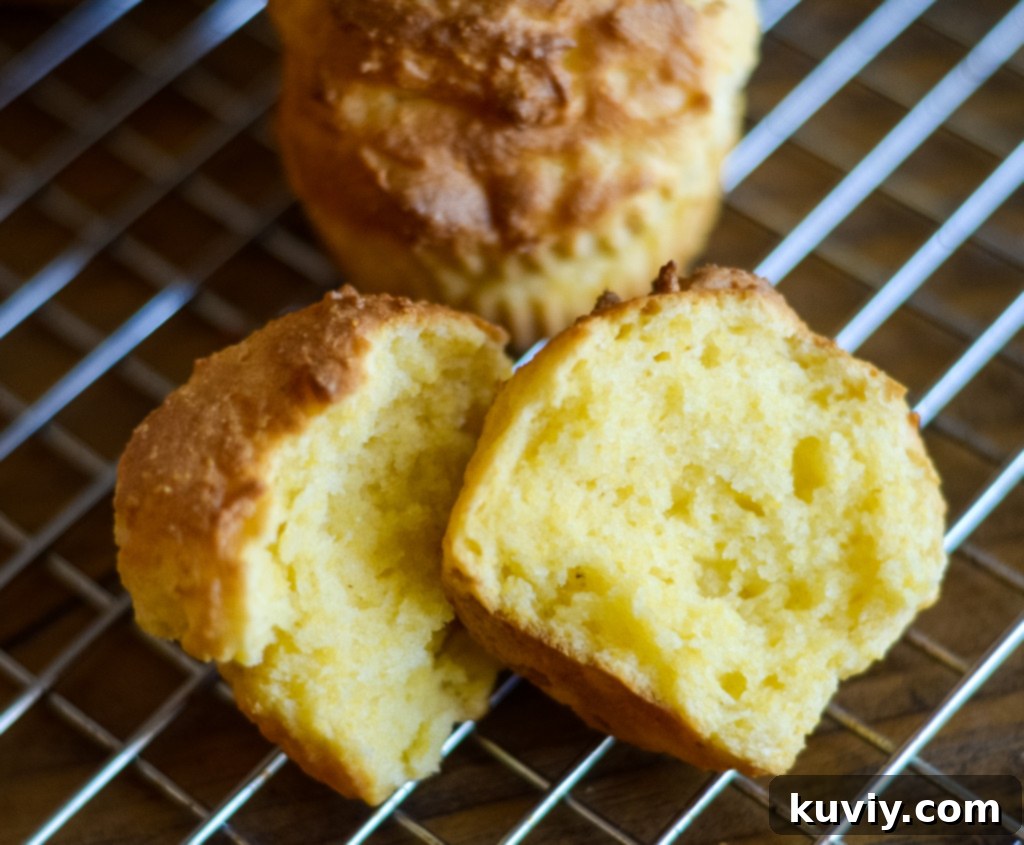 air fryer cornbread muffins