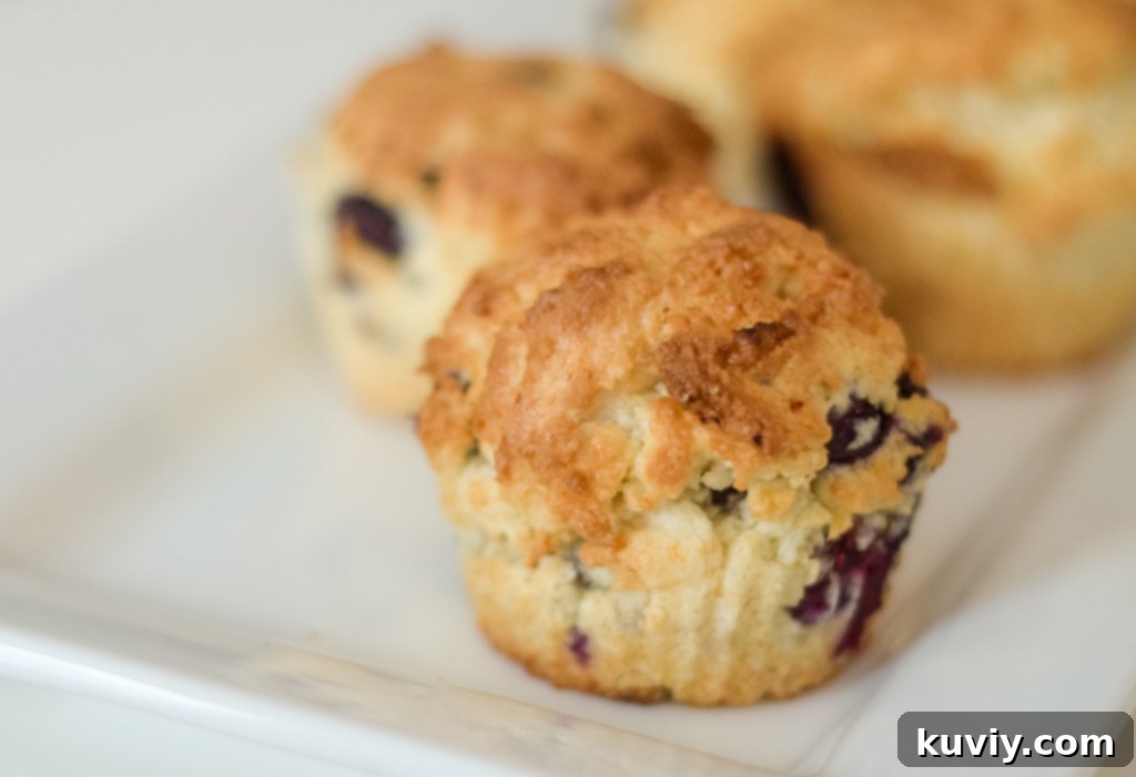 air fryer blueberry muffins