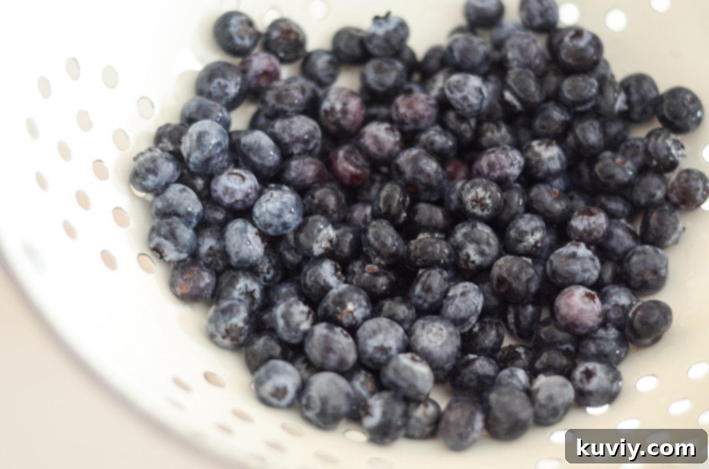 air fryer blueberry muffins