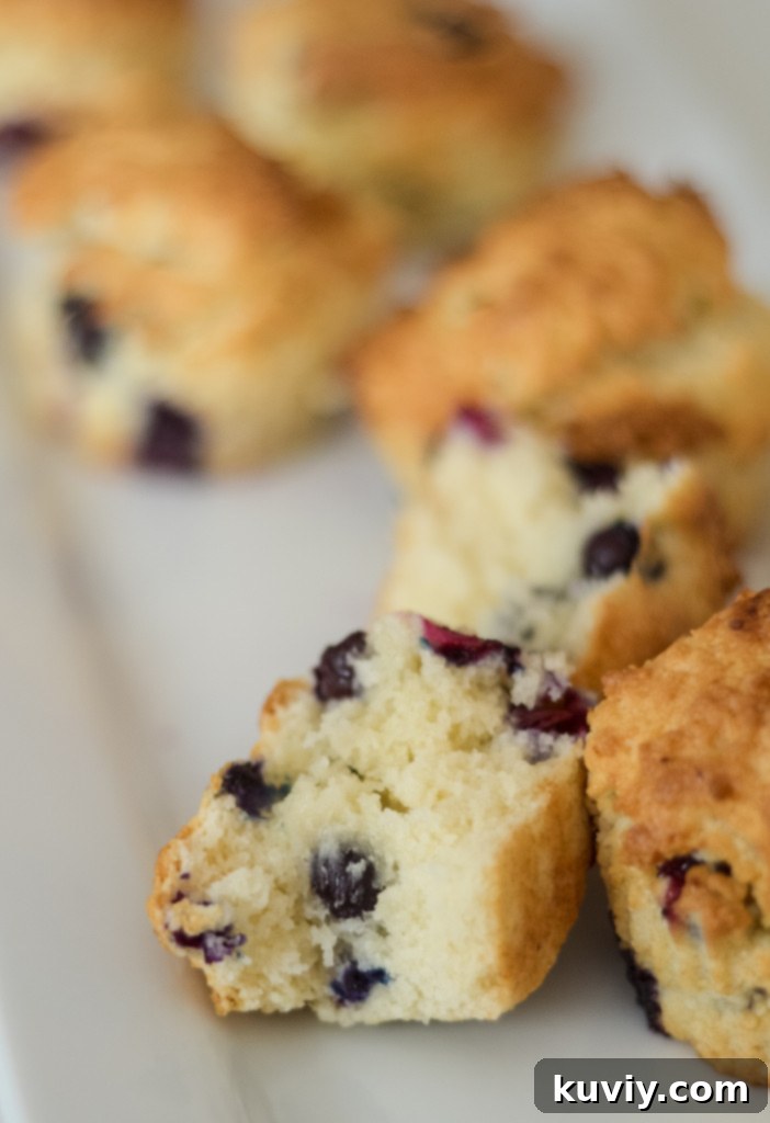 air fryer blueberry muffins
