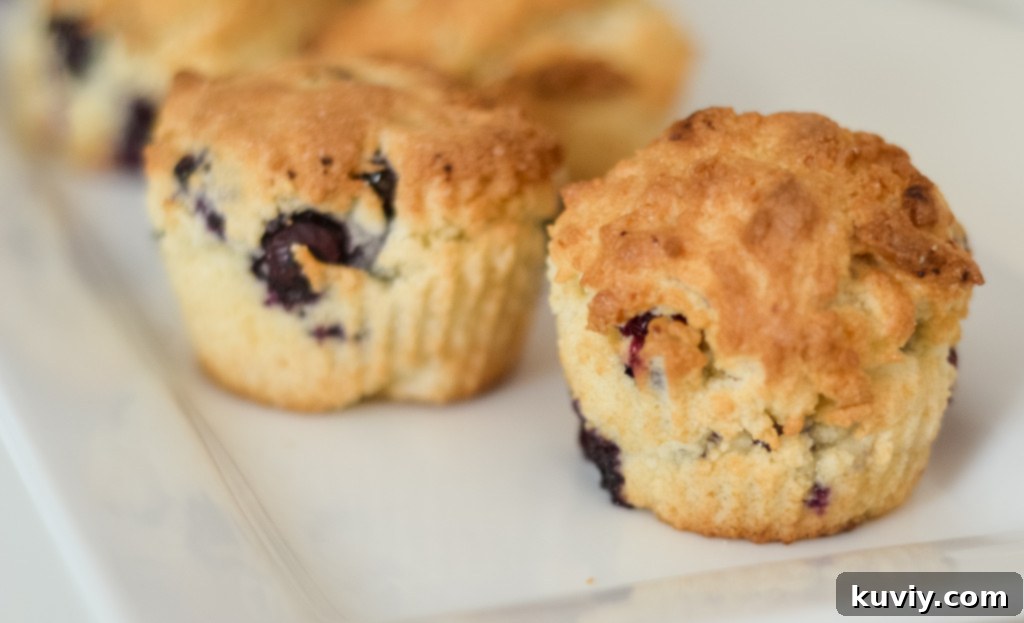 air fryer blueberry muffins