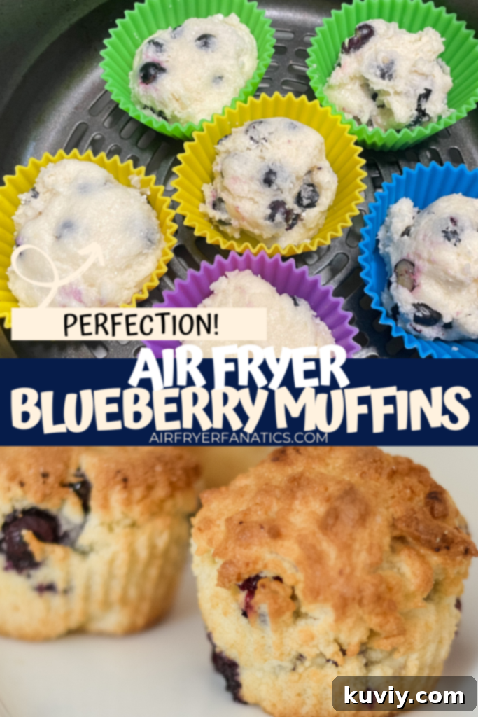 air fryer blueberry muffins
